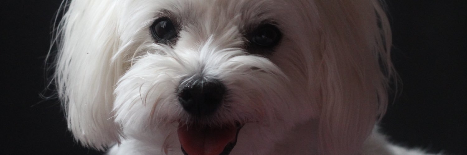 caaarmeenrr's profile banner image