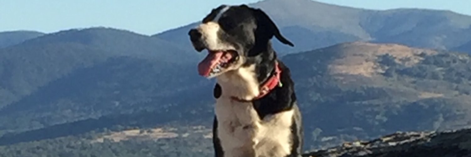 jacuestamo's profile banner image