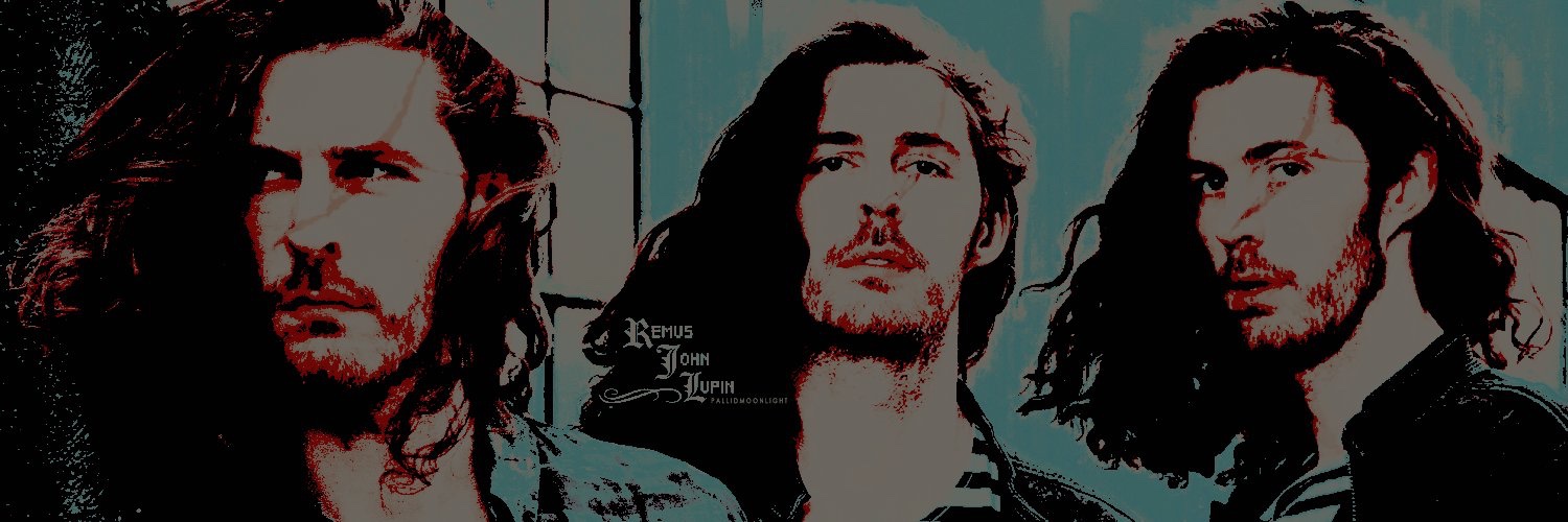 PallidMoonlight's profile banner image