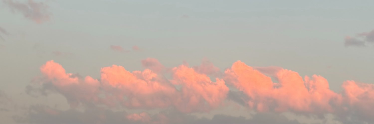ferneverlogs's profile banner image