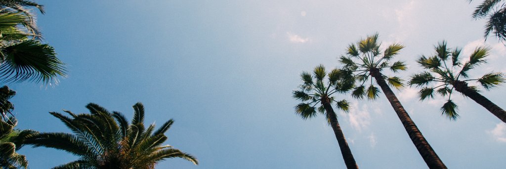 jessicasade_'s profile banner image
