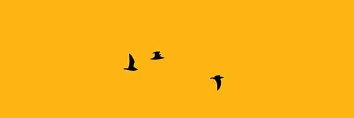 rowida_adam's profile banner image