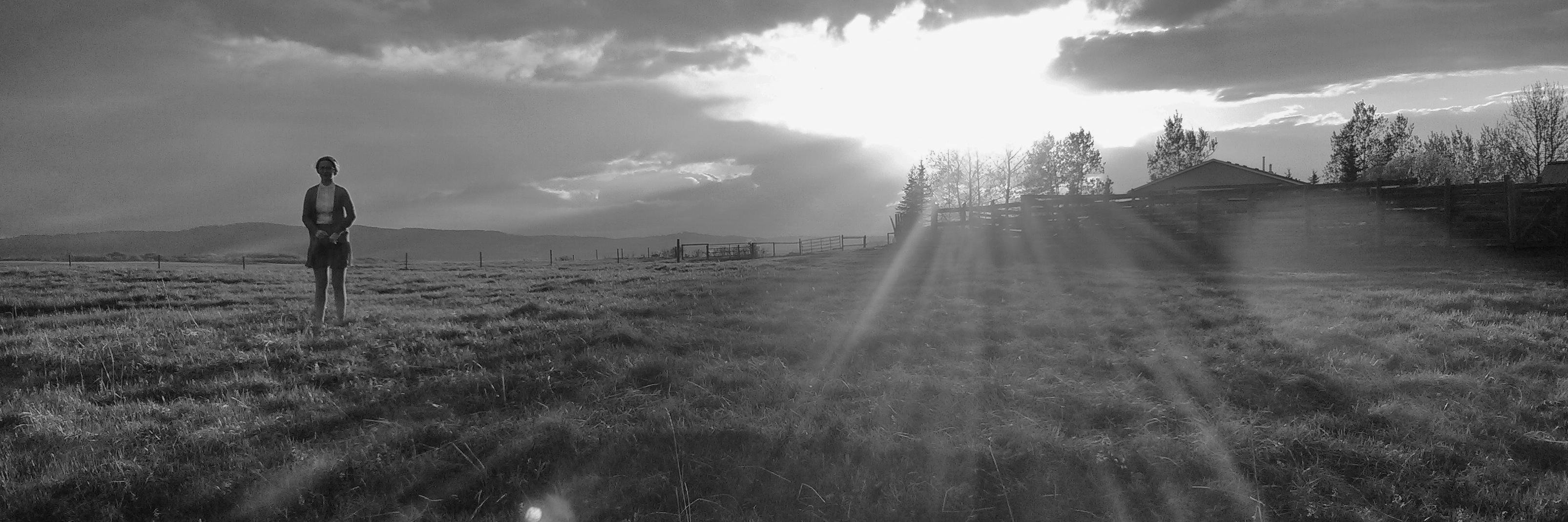 Dana Stoutenburg banner