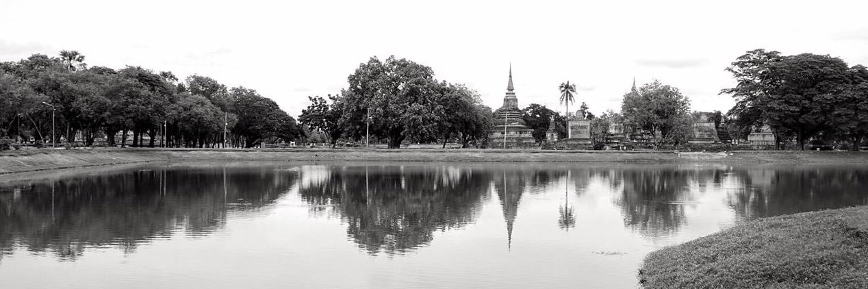 Ellen van Hegelsom banner