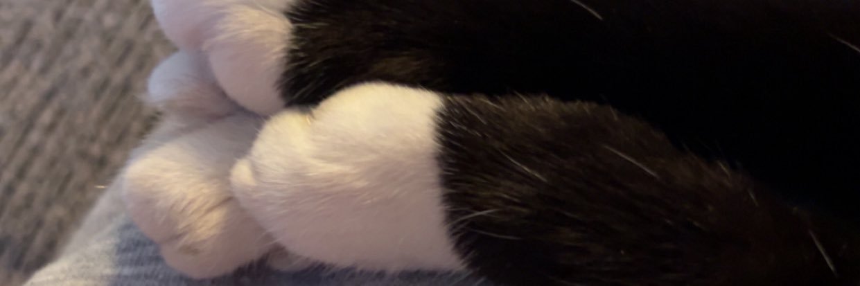 anxiousmanx's profile banner image