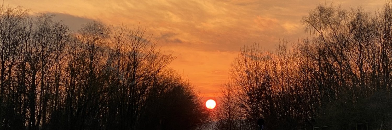 Jack Woolfenden banner