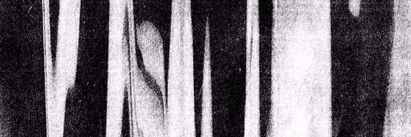 TropicalWaste1 Profile Banner