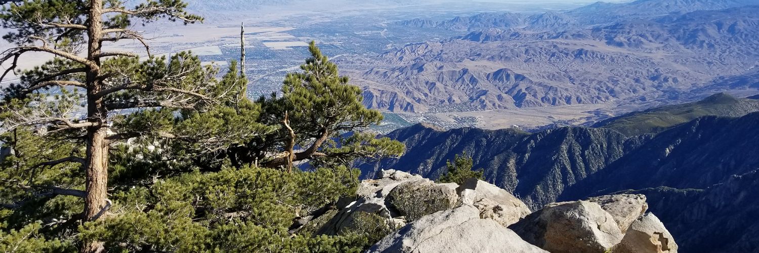 anthonylattner's profile banner image