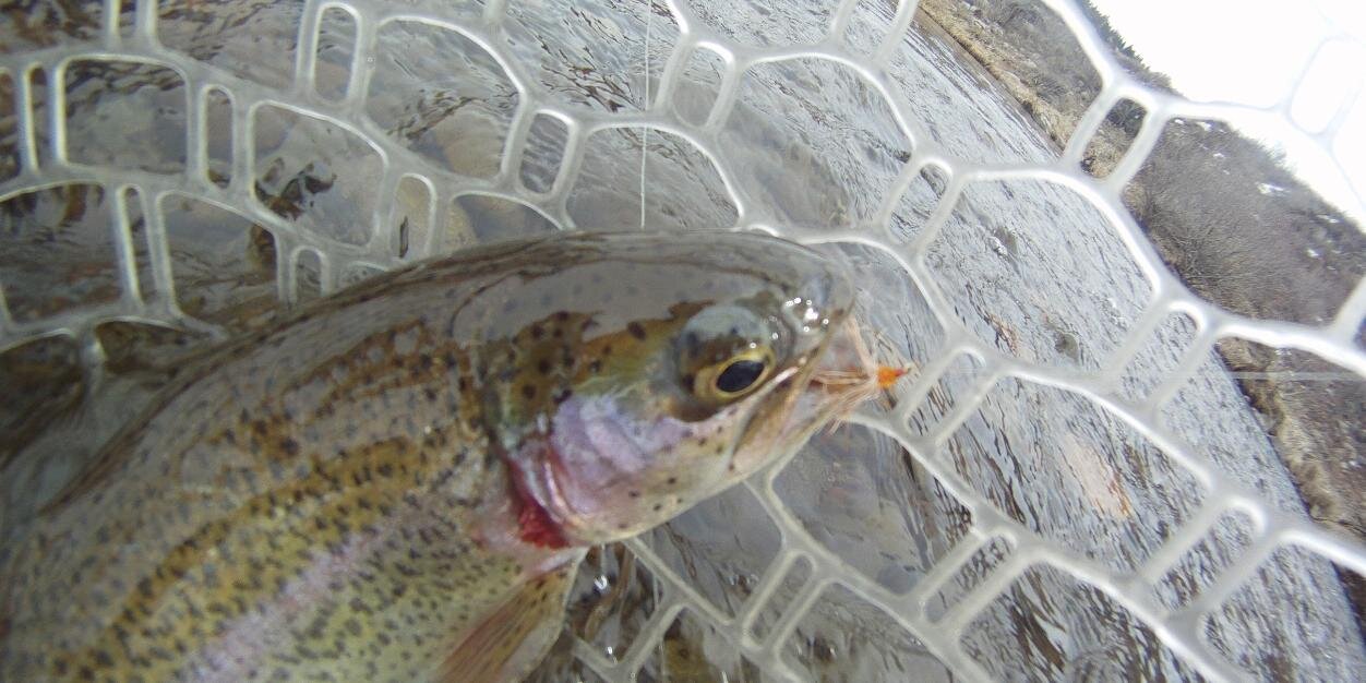 keiper_matt's profile banner image