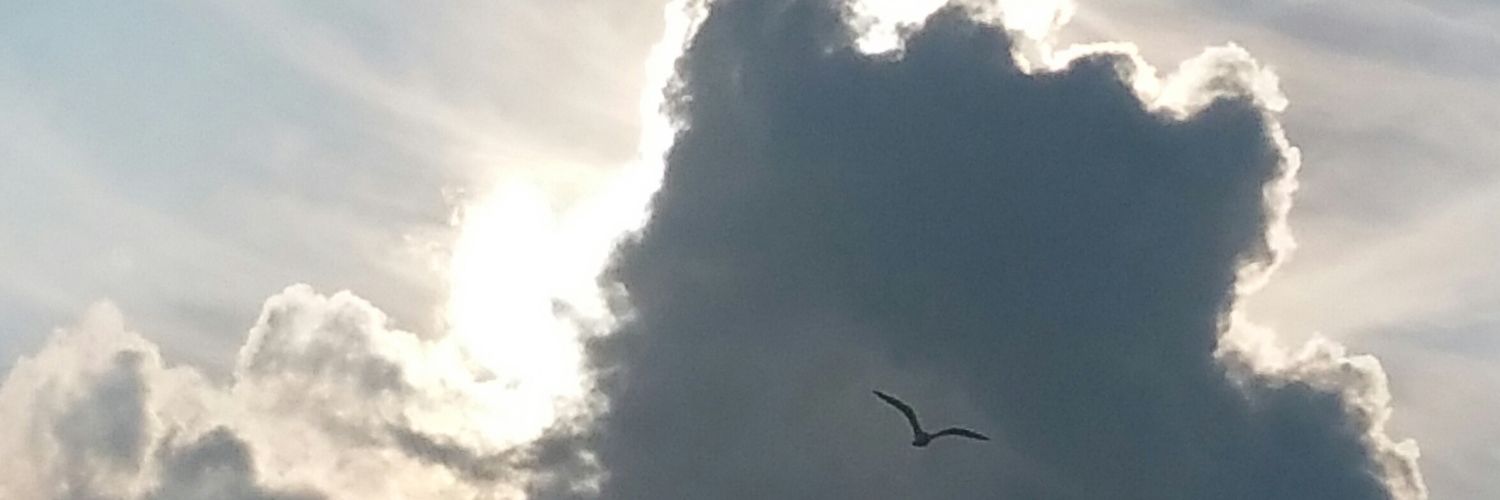 darrendweaver's profile banner image