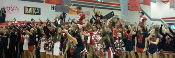 AbsurdBigBirds Profile Banner