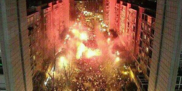 Alimoche común banner