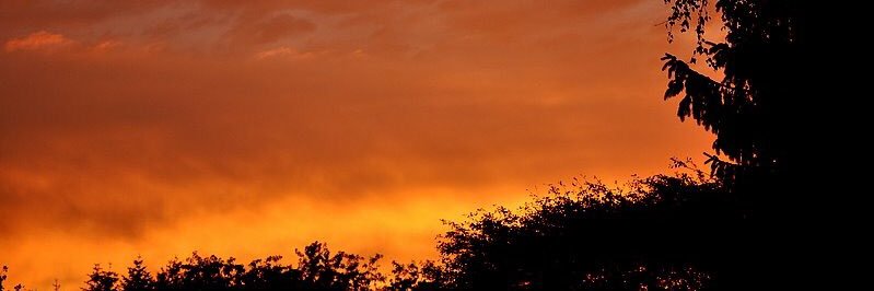 daniqueie's profile banner image