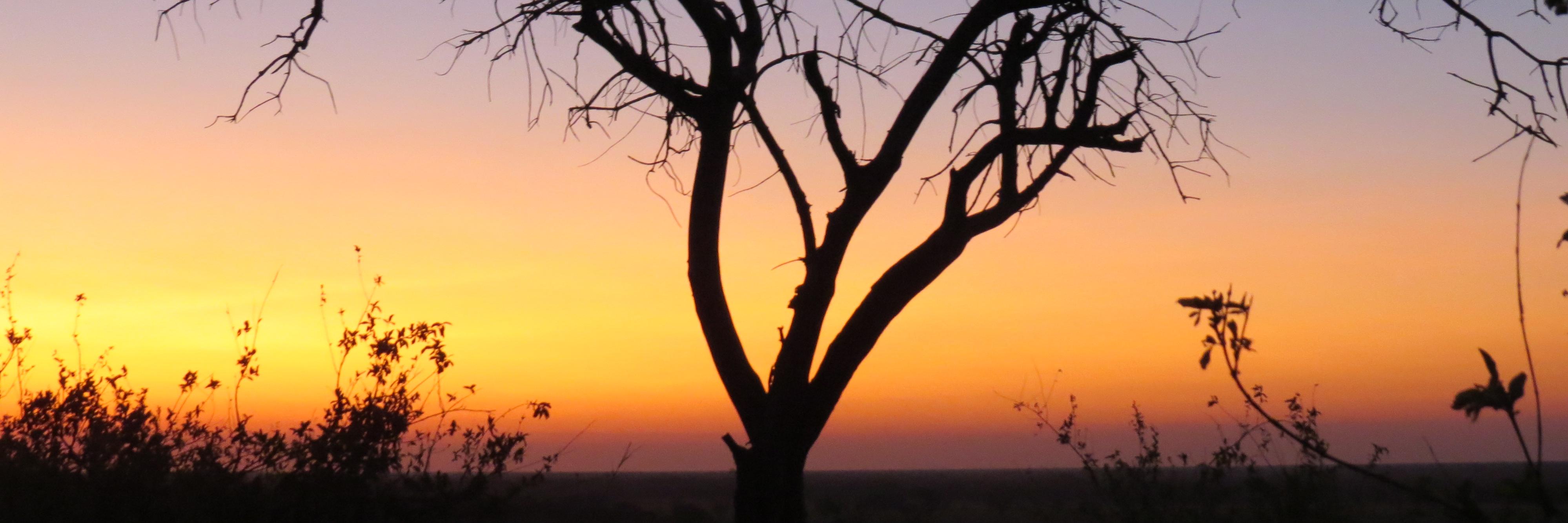 Evan-Lee Courie banner