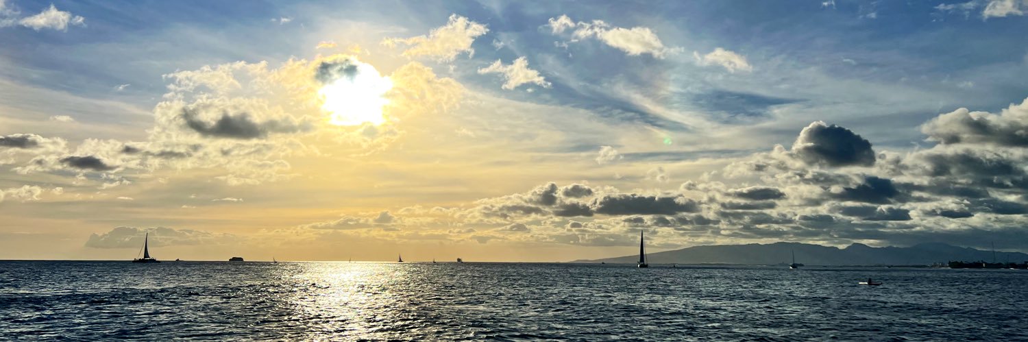 Lili Dibai M.S.Ed. banner