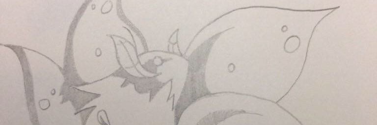 Reigiplaying's profile banner image
