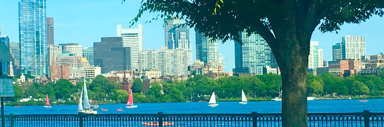 Alisha Sternenberger banner