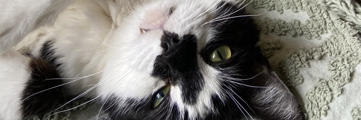 oatmama_'s profile banner image
