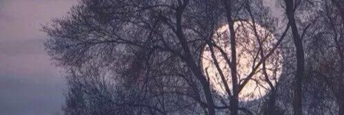 celsomp13's profile banner image