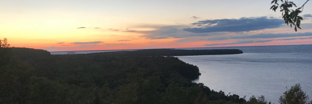 Ali Hernandez banner