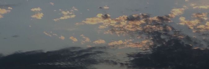 none3993's profile banner image