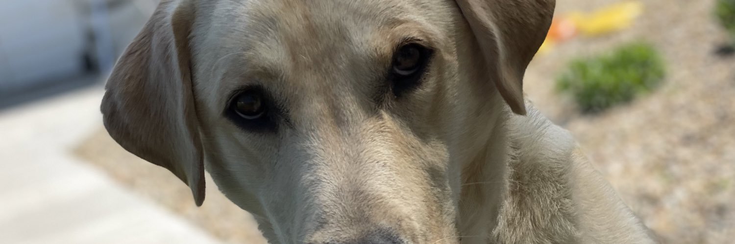 JakeOest's profile banner image