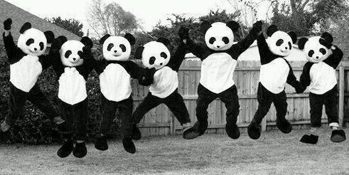 Pandaaaass's profile banner image