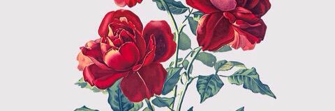 misfitz_'s profile banner image
