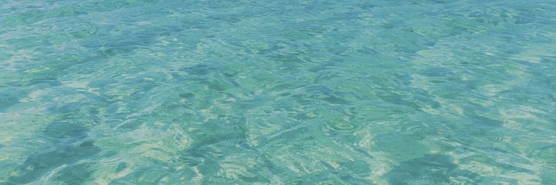 pausanchezc_'s profile banner image