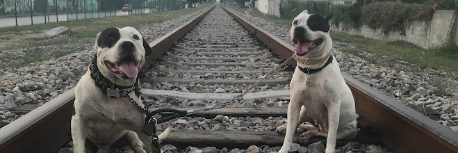 ALEKS_TAMPICO's profile banner image