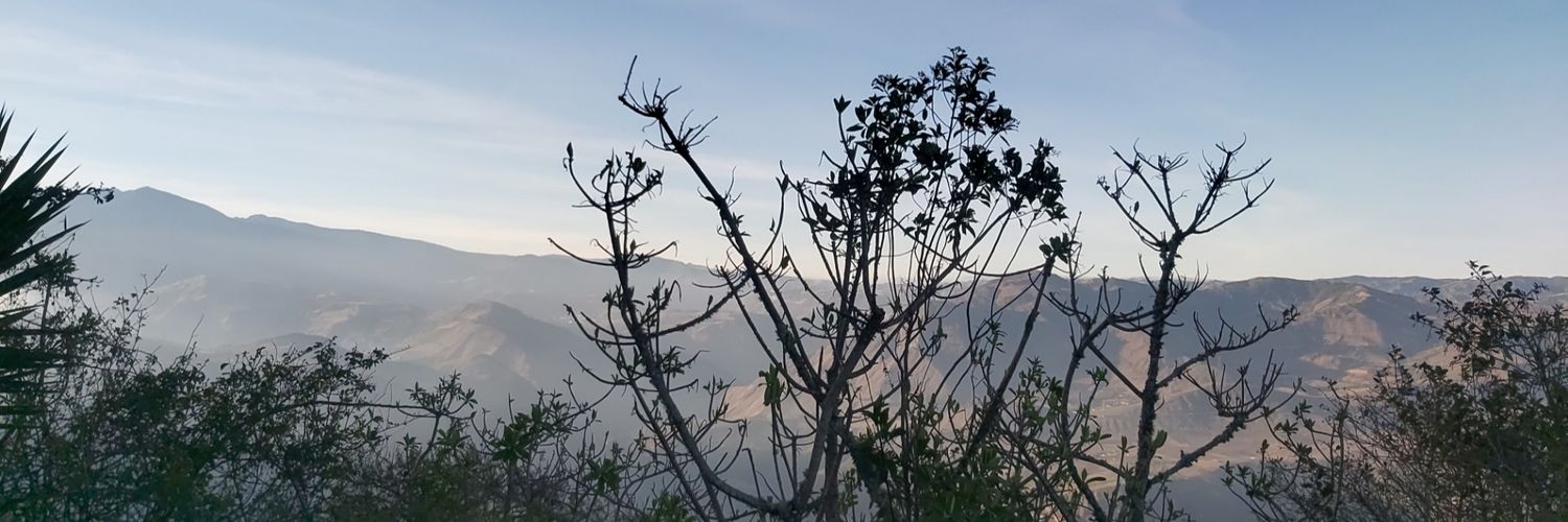 Zulmadelmart's profile banner image