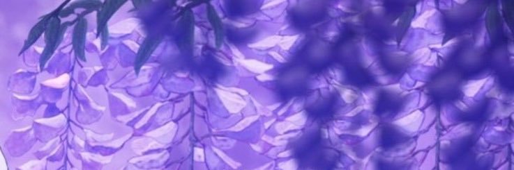 ayakokitsune's profile banner image