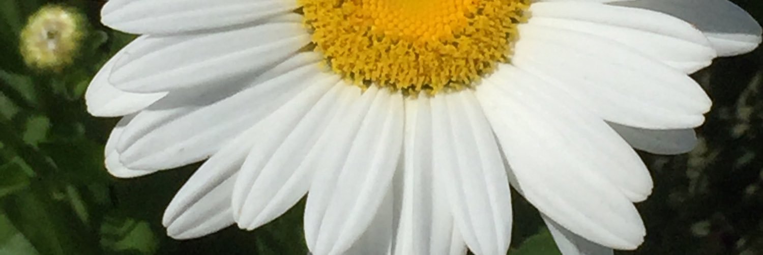 JkJudie's profile banner image