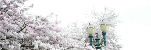 jadesnap Profile Banner