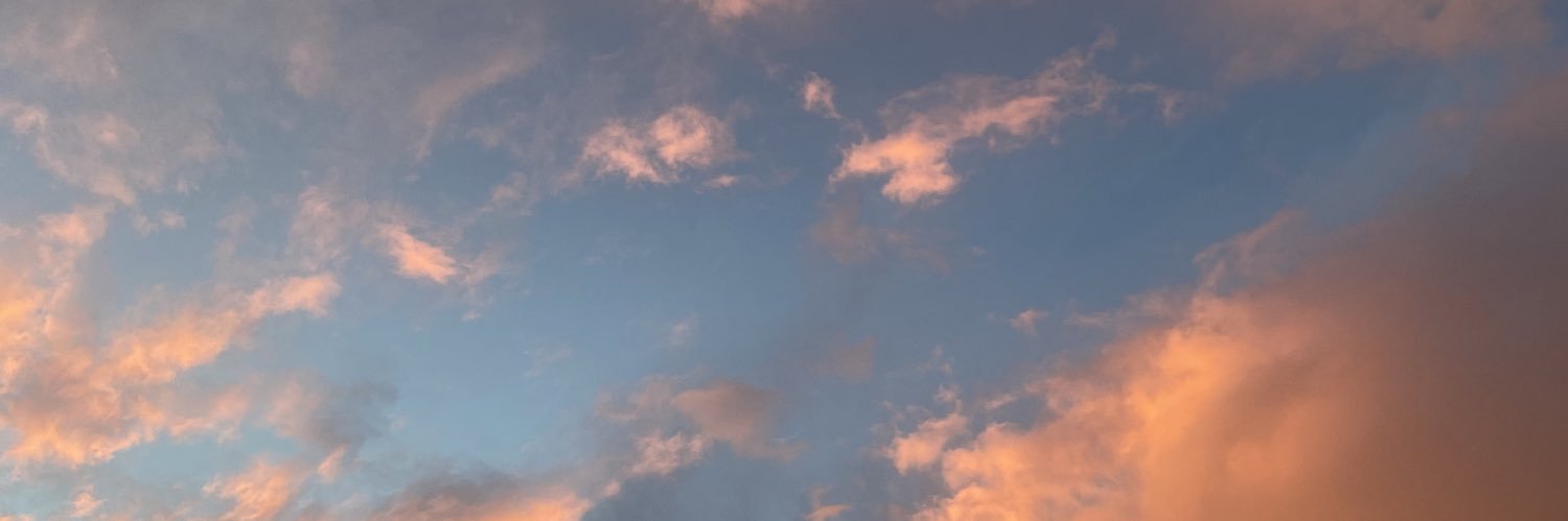 fridapgl's profile banner image