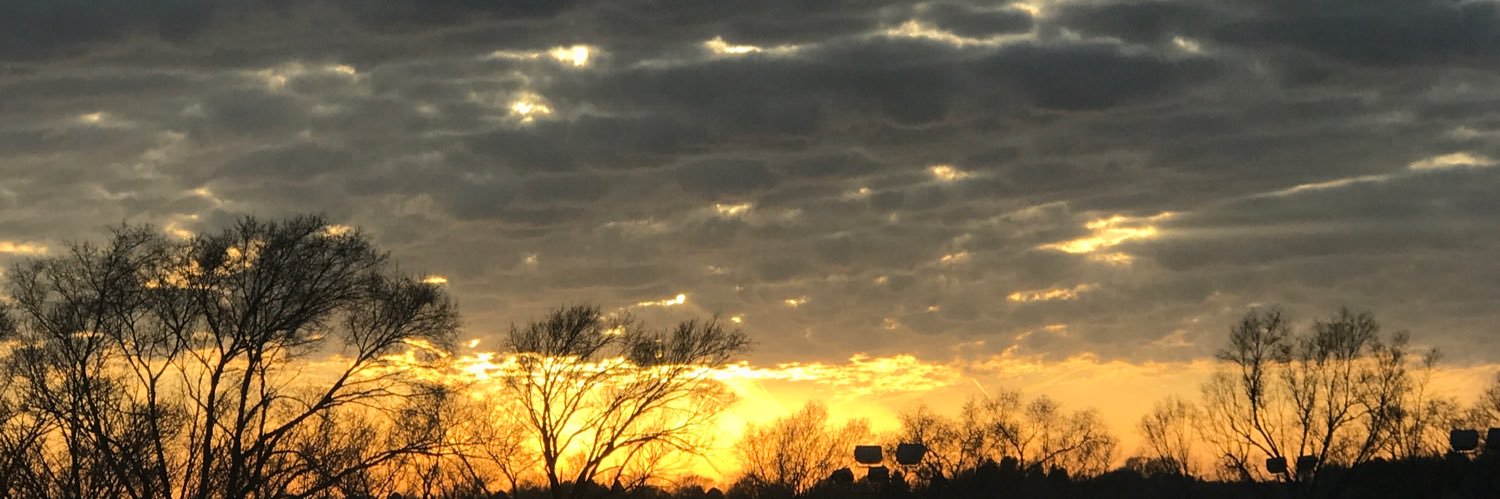masonfroehlich's profile banner image