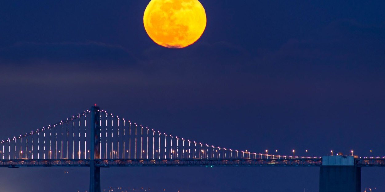 Niall Coppinger banner