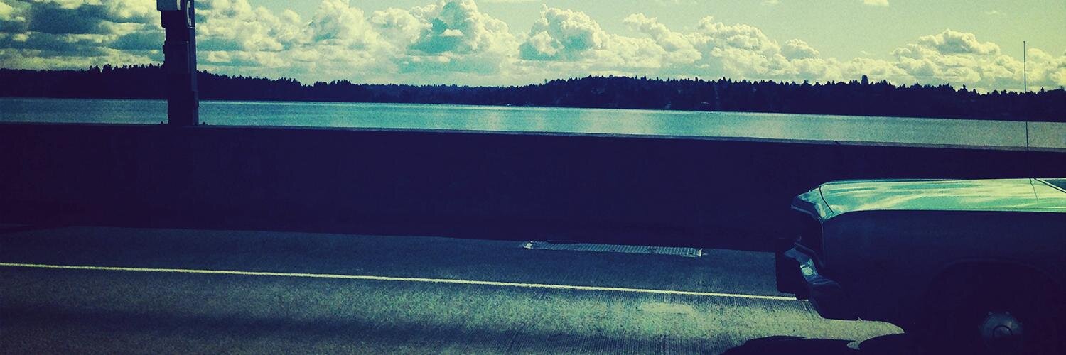 lizlbauer's profile banner image