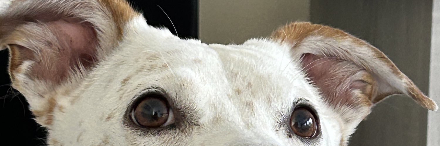 judyp71's profile banner image