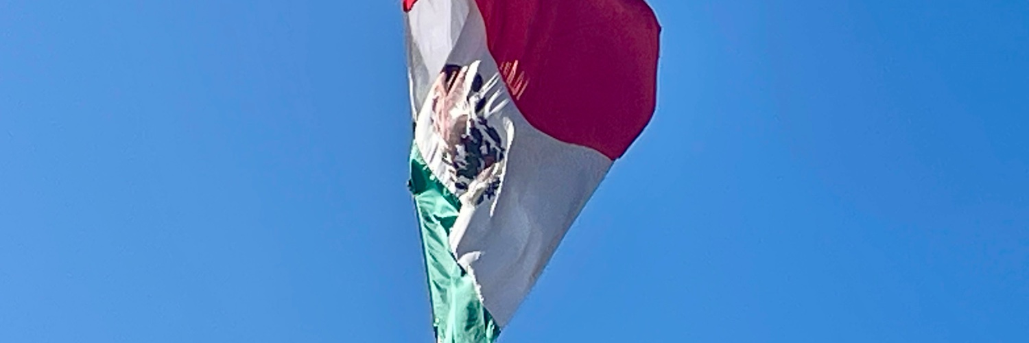 enmanzanada's profile banner image
