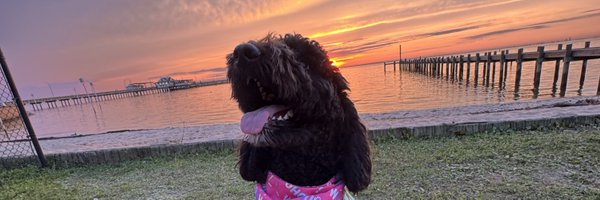 katielively_ Profile Banner