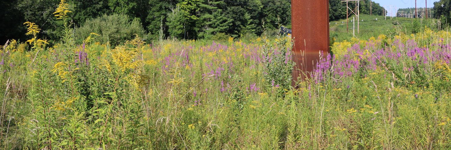 Dyerjackie99's profile banner image