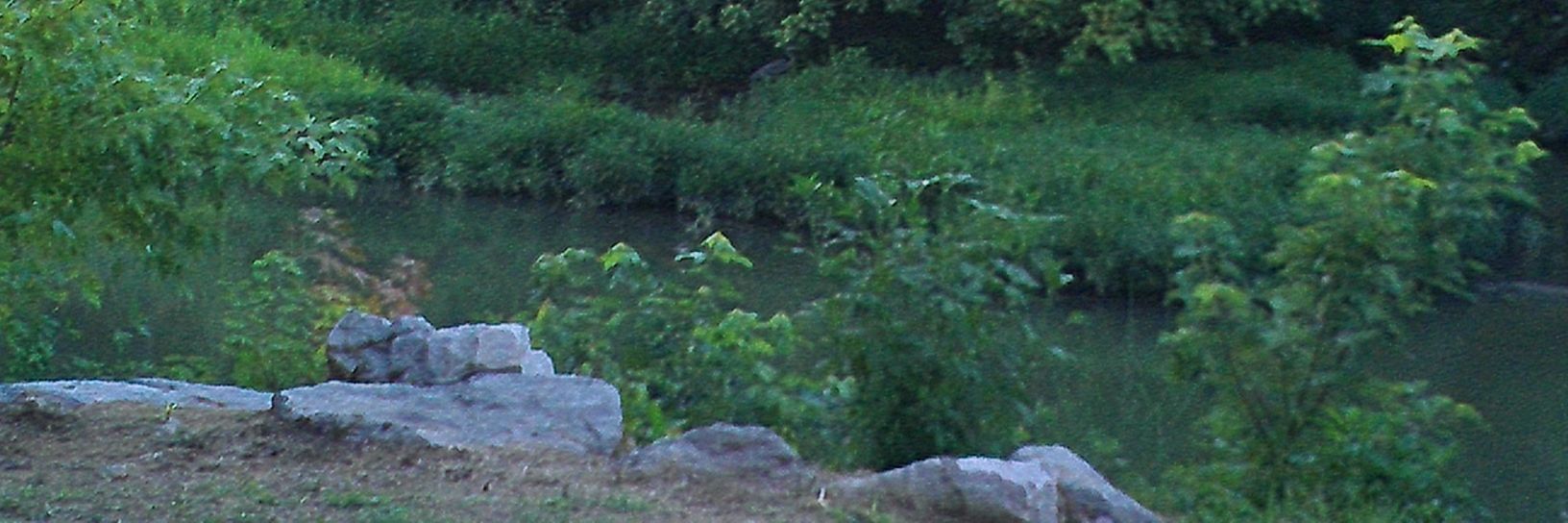 badsumbody's profile banner image