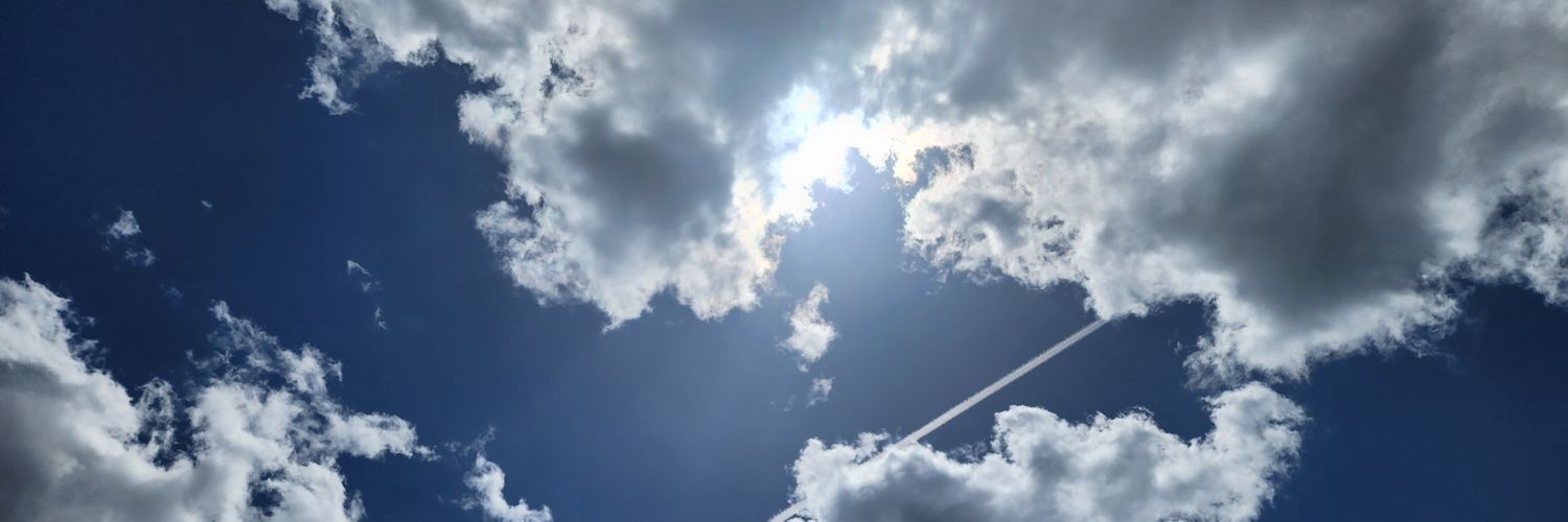 Lifeofemily_'s profile banner image