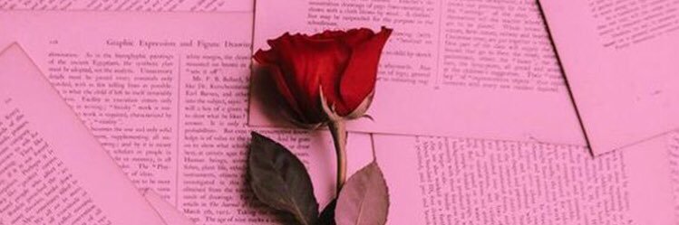_Taylorwilliss's profile banner image
