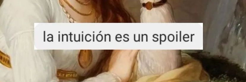 SofiHidalgo17's profile banner image