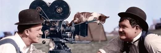 Matt Holt | Filmmaker banner