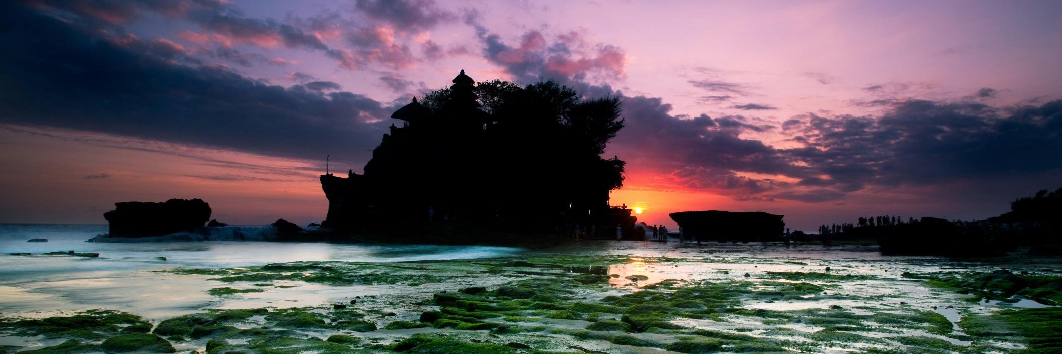 Brandon Hoover banner