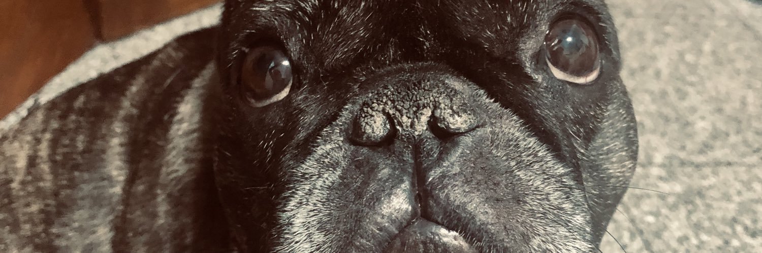 Conniecimenton's profile banner image