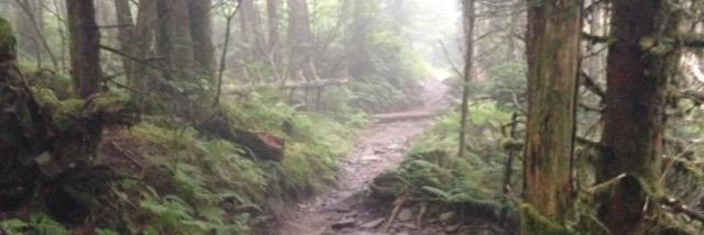 Jake Montgomery banner